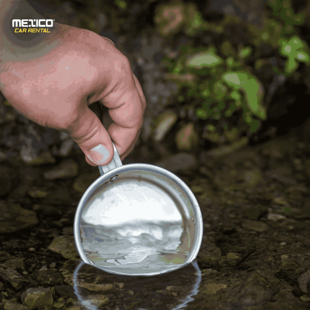 bebiendo agua en mineral de Pozos - México car rental